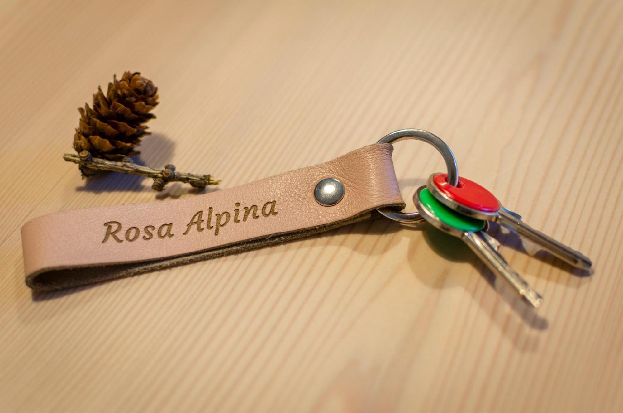 Rosa Alpina - Appartamento Nelle Dolomiti Ντομπιάκο Εξωτερικό φωτογραφία